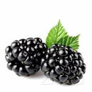 Zazo Blackberry e-Liquid 10 ml