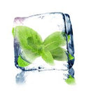 Zazo Cool Mint e-Liquid 10 ml