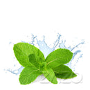 Zazo Liquid Fresh Mint in der 10 ml Flasche