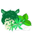 Zazo Waldmonster in der 10ml Flasche