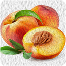 Pfirsich10ml -Basic-